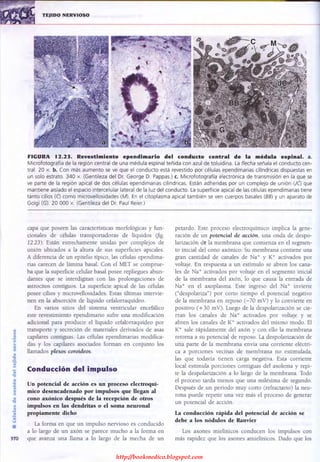 http://bookmedico.blogspot.com
 