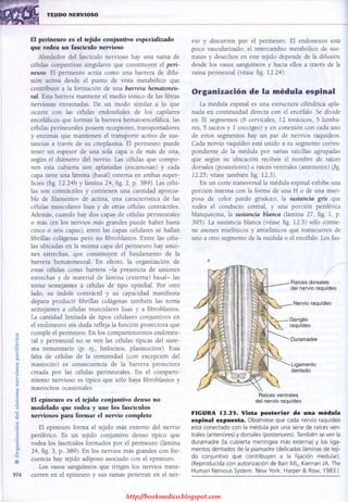 http://bookmedico.blogspot.com
 
