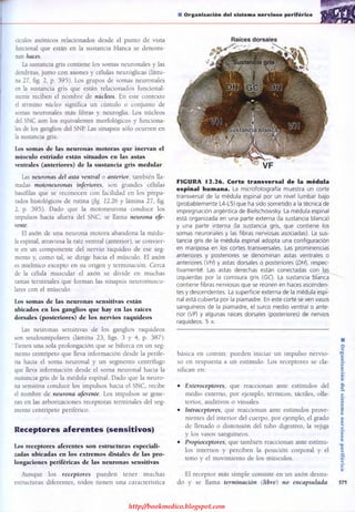 http://bookmedico.blogspot.com
 