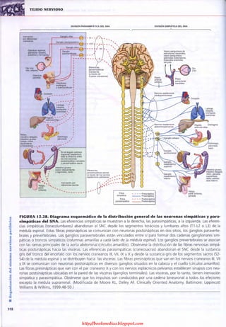 http://bookmedico.blogspot.com
 