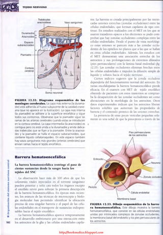 http://bookmedico.blogspot.com
 