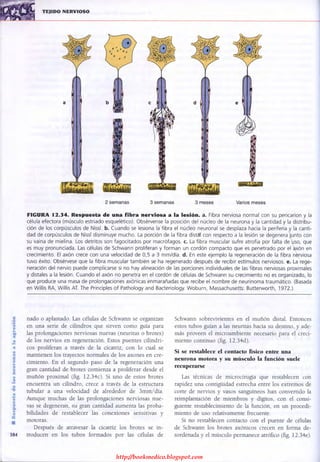 http://bookmedico.blogspot.com
 