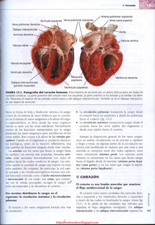 http://bookmedico.blogspot.com
 