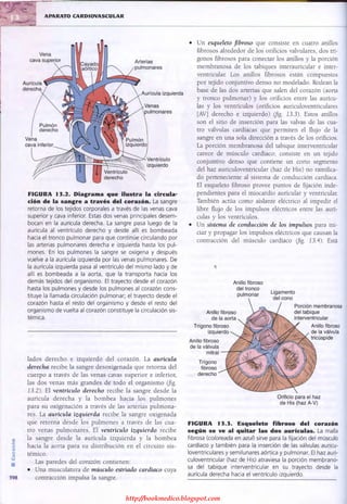 http://bookmedico.blogspot.com
 