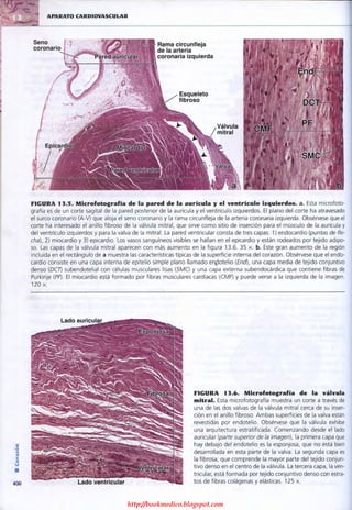 http://bookmedico.blogspot.com
 