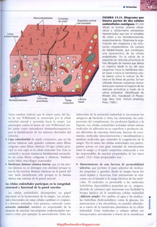 http://bookmedico.blogspot.com
 