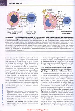 http://bookmedico.blogspot.com
 