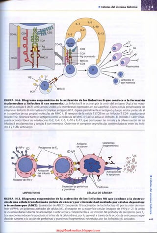 http://bookmedico.blogspot.com
 