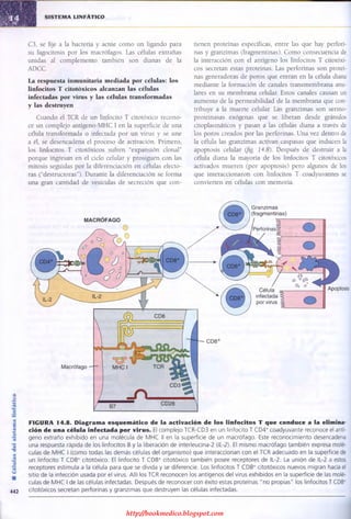 http://bookmedico.blogspot.com
 