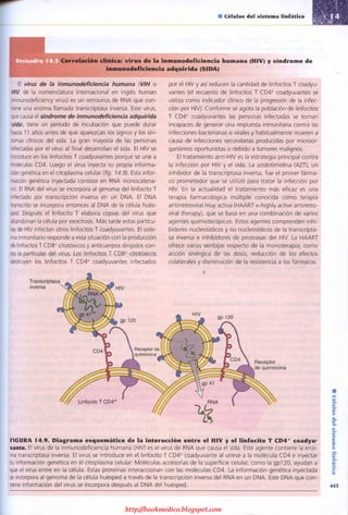 http://bookmedico.blogspot.com
 