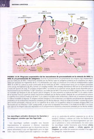 http://bookmedico.blogspot.com
 