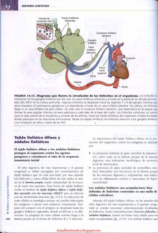http://bookmedico.blogspot.com
 