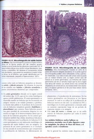 http://bookmedico.blogspot.com
 