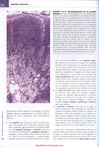 http://bookmedico.blogspot.com
 