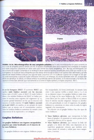 http://bookmedico.blogspot.com
 