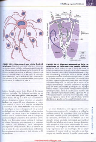 http://bookmedico.blogspot.com
 