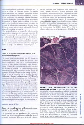 http://bookmedico.blogspot.com
 