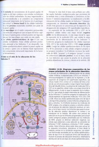 http://bookmedico.blogspot.com
 
