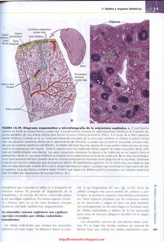 http://bookmedico.blogspot.com
 
