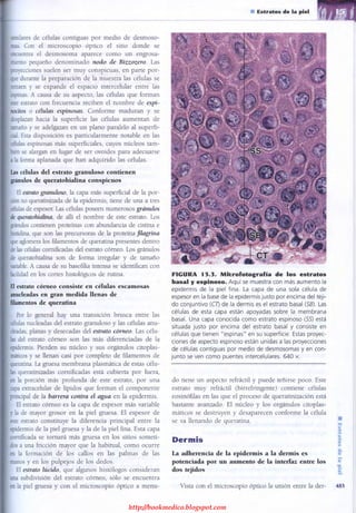 http://bookmedico.blogspot.com
 