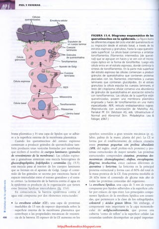 http://bookmedico.blogspot.com
 