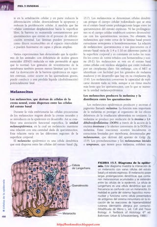 http://bookmedico.blogspot.com
 