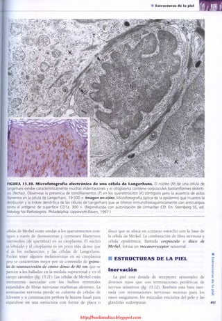 http://bookmedico.blogspot.com
 