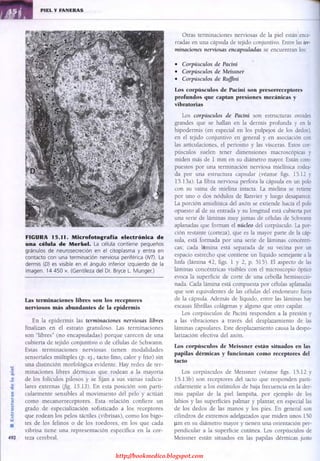 http://bookmedico.blogspot.com
 