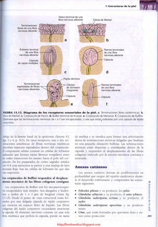 http://bookmedico.blogspot.com
 