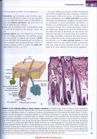 http://bookmedico.blogspot.com
 