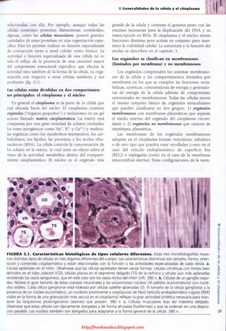 http://bookmedico.blogspot.com
 