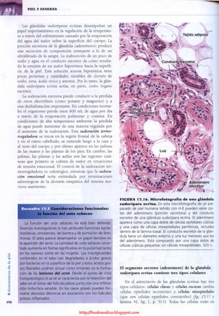 http://bookmedico.blogspot.com
 