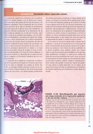 http://bookmedico.blogspot.com
 