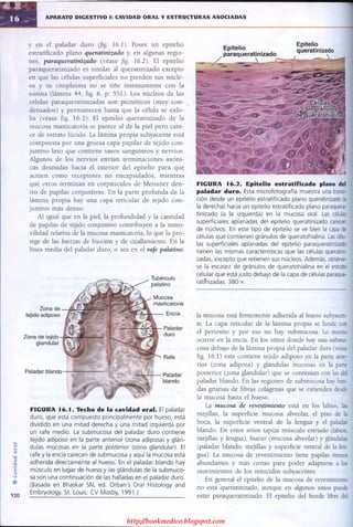 http://bookmedico.blogspot.com
 