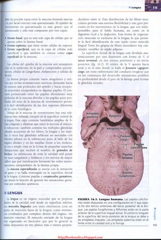 http://bookmedico.blogspot.com
 