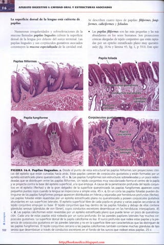 http://bookmedico.blogspot.com
 