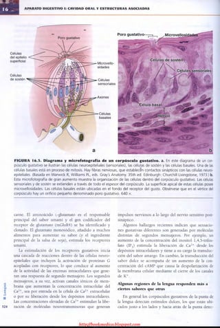 http://bookmedico.blogspot.com
 