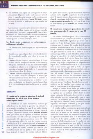 http://bookmedico.blogspot.com
 
