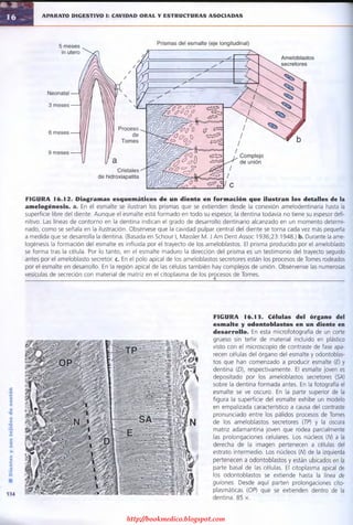 http://bookmedico.blogspot.com
 