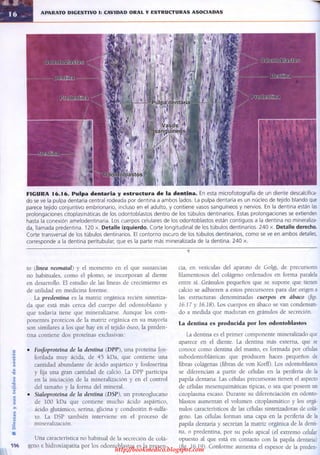 http://bookmedico.blogspot.com
 