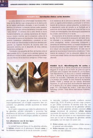 http://bookmedico.blogspot.com
 