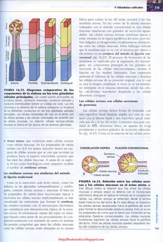 http://bookmedico.blogspot.com
 