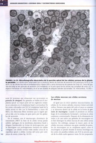 http://bookmedico.blogspot.com
 