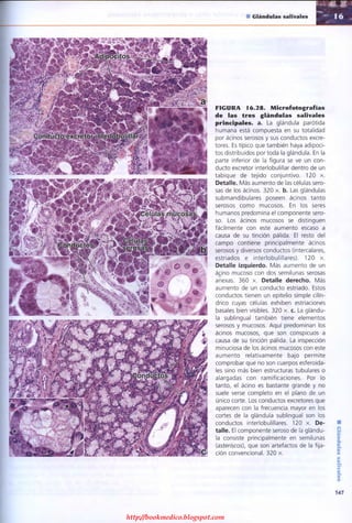 http://bookmedico.blogspot.com
 