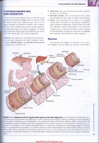 http://bookmedico.blogspot.com
 