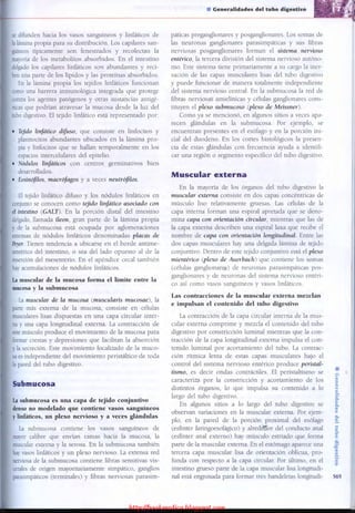 http://bookmedico.blogspot.com
 