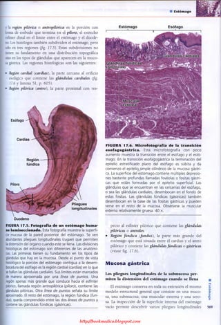 http://bookmedico.blogspot.com
 