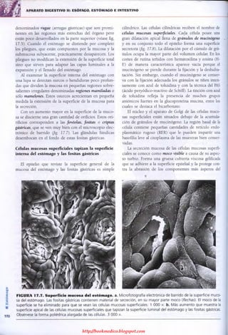 http://bookmedico.blogspot.com
 