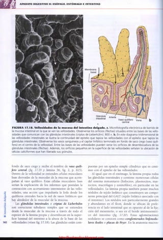 http://bookmedico.blogspot.com
 