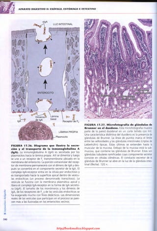 http://bookmedico.blogspot.com
 
